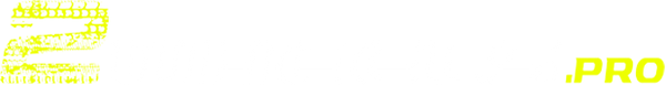 Logo 2wheels.pro